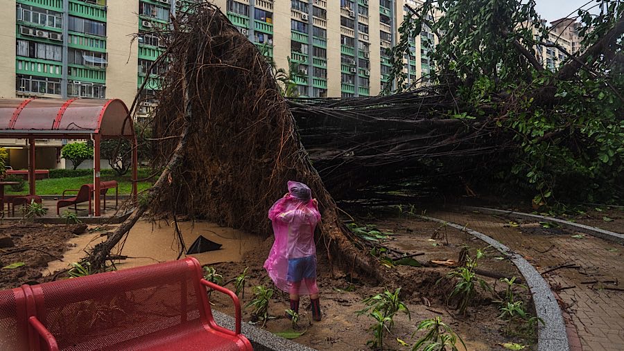 Ragasa merupakan badai tropis terburuk yang paling merusak Hong Kong dalam tujuh tahun terakhir. (Lam Yik/Bloomberg)