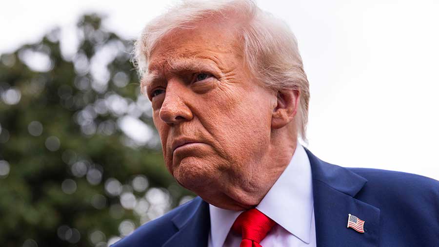 Presiden AS, Donald Trump (Bloomberg)