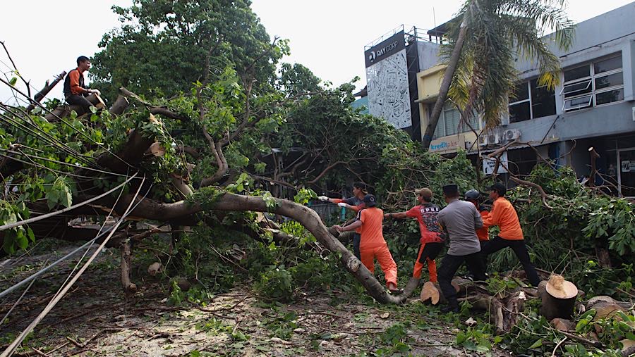 Petugas memotong batang pohon tumbang di Jalan Jombang Raya, Tangerang Selatan, Selasa (7/10/2025). (Bloomberg Technoz/ Andrean Kristianto)