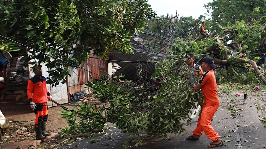 Peristiwa tersebut menyebabkan pemilik warung, seorang ibu, mengalami luka. (Bloomberg Technoz/ Andrean Kristianto)