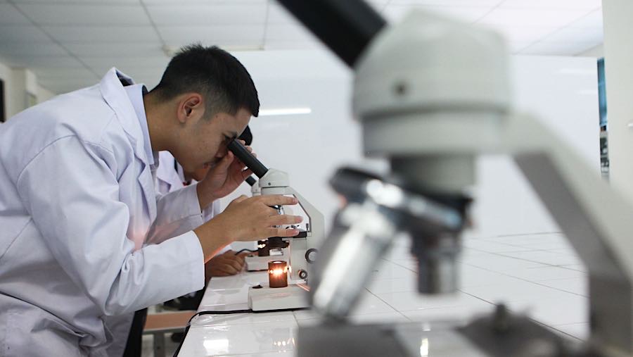 Untuk tahun ajaran 2026/2027, Sekolah Garuda direncanakan akan mulai dibangun di empat lokasi strategis di berbagai wilayah Indonesia. 