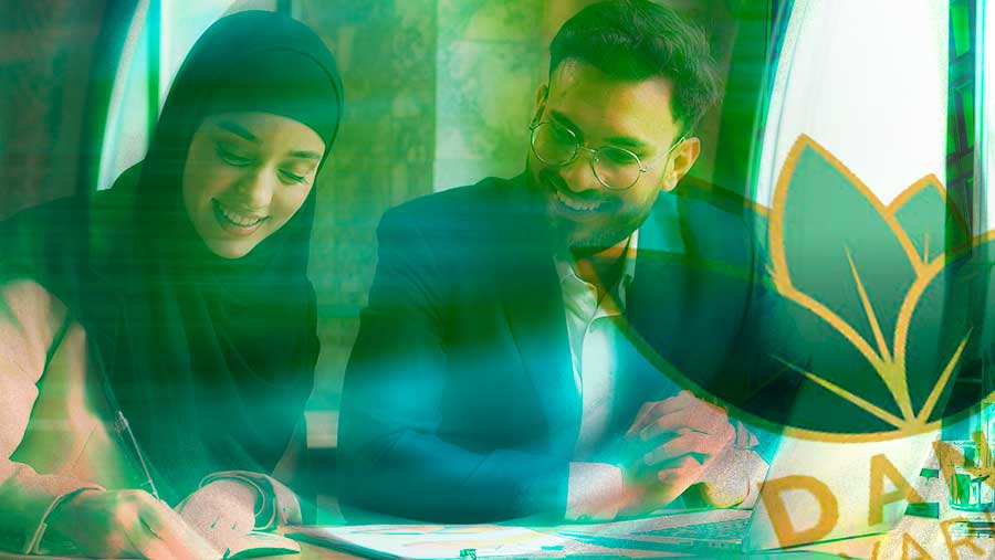 Ilustrasi Dana Syariah Indonesia (Diolah)