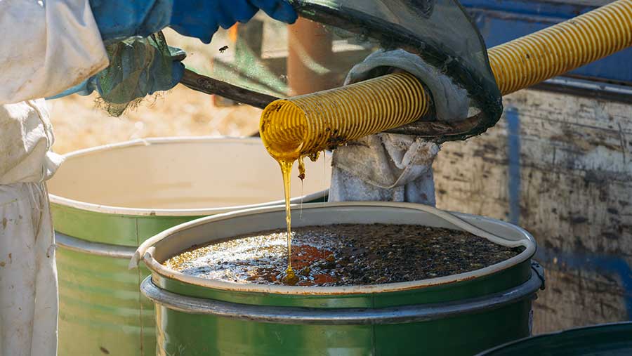 Ilustrasi biodiesel (Envato)