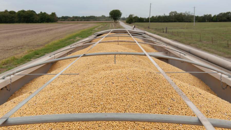 Ilustrasi impor kedelai dari Amerika Serikat. (Bloomberg)