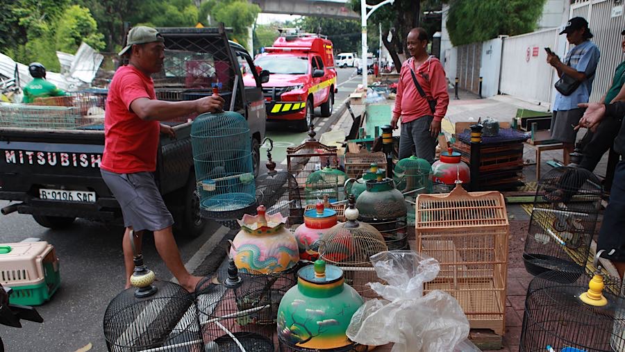 Pedagang tampak sibuk memindahkan hewan dan barang dagangan mereka agar tidak terdampak pembongkaran. (Bloomberg Technoz/Andrean Kristianto)