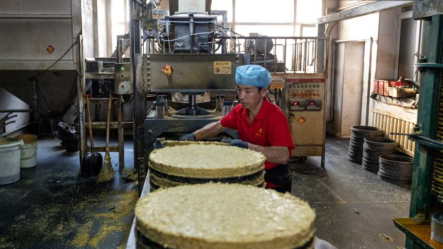 Pekerja mengolah tepung kedelai di pabrik pengolahan di Harbin, Heilongjiang, China (27/10/2025). (Andrea Verdelli/Bloomberg)