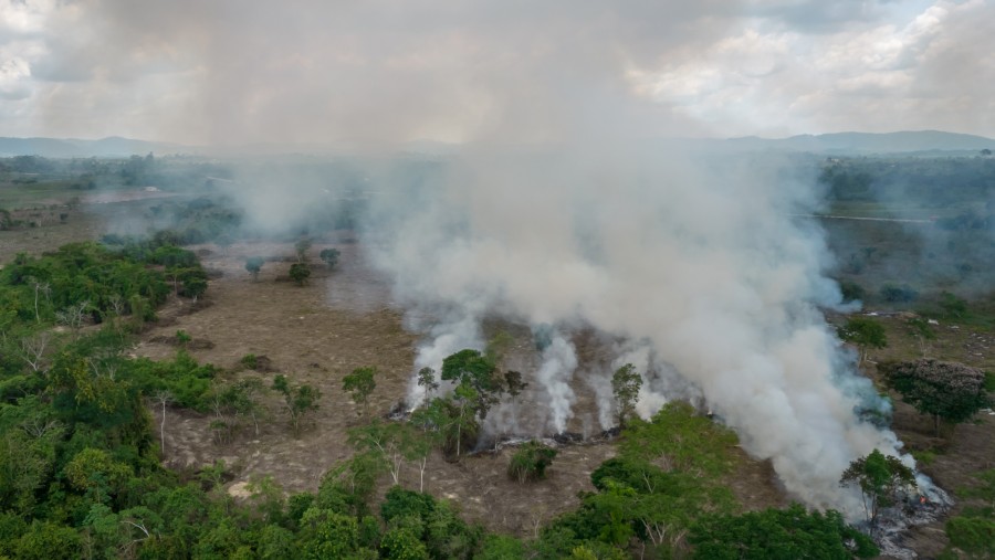 Kebakaran terjadi di Hutan Amazon tahun 2011. (Jonne Roriz/Bloomberg)