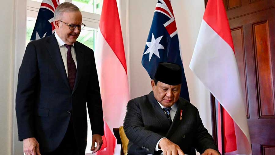 Presiden Prabowo Subianto bertemu PM Australia Anthony Albanese. (Dok BPMI)