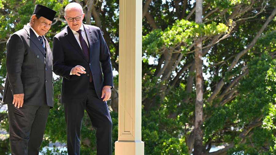 Presiden Prabowo Subianto bertemu PM Australia Anthony Albanese. (Dok BPMI)