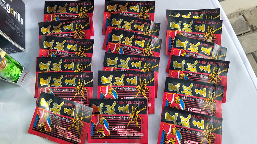 BPOM bersama Polri berhasil mengungkap praktik produksi dan peredaran obat ilegal. (Bloomberg Technoz/Dinda Decembria)