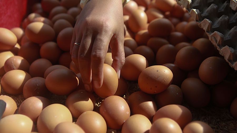 Pembeli memilih telur ayam ras di Pejaten, Jakarta Selatan, Senin (17/11/2025). (Bloomberg Technoz/Andrean Kristianto)