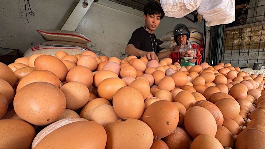 Pedagang melayani pembeli telur ayam ras di Pamulang, Tangerang Selatan, Senin (17/11/2025). (Bloomberg Technoz/Andrean Kristianto)
