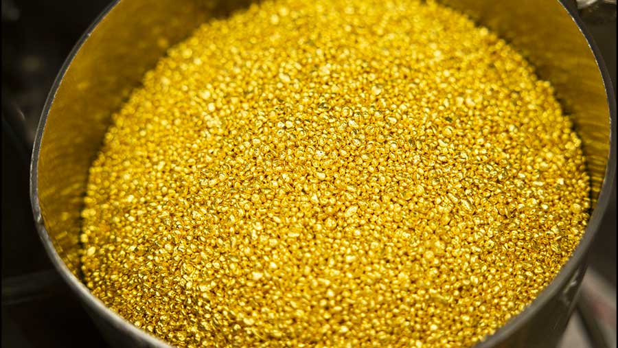 Harga Emas Stabil Seiring Pasar Mengkaji Kemungkinan Pemangkasan Suku Bunga The Fed (Bloomberg)