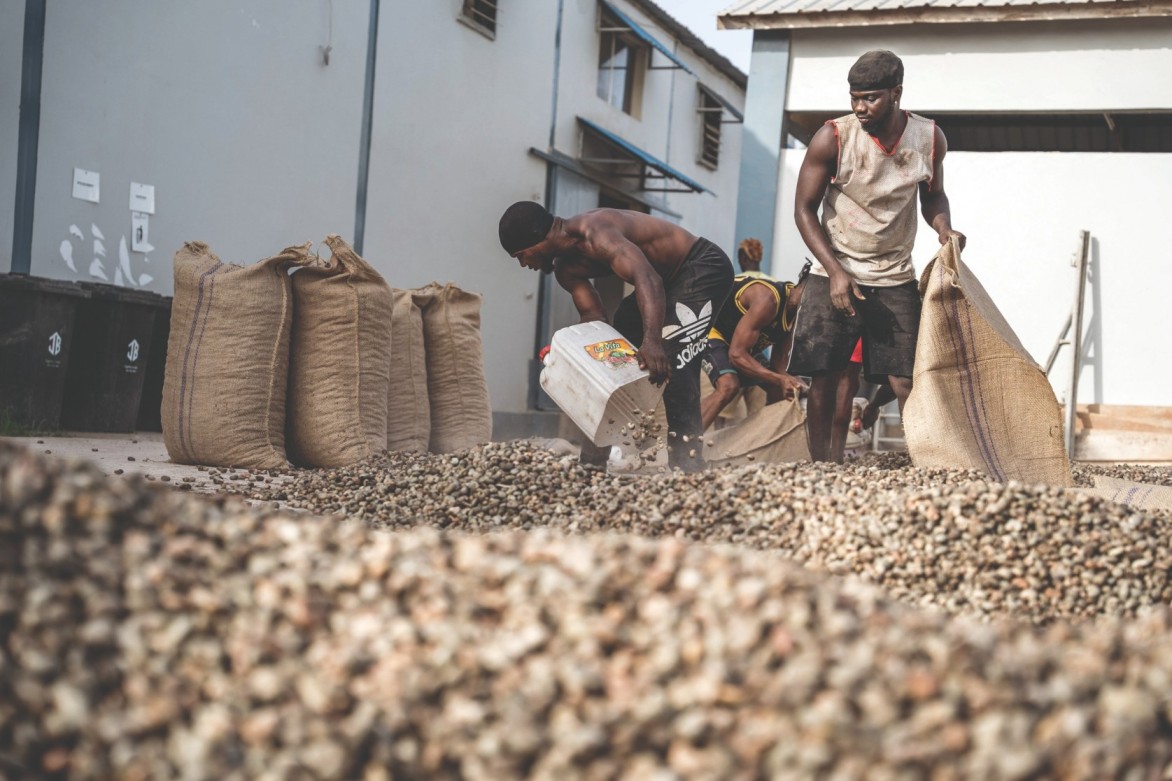 Kisruh Dagang Global di Era Trump Buka Peluang bagi Petani Afrika