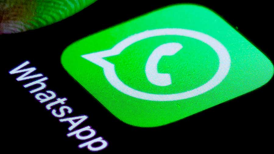 Meta Berisiko Larangan Sementara Rencana AI WhatsApp di Tengah Investigasi Uni Eropa (Bloomberg)