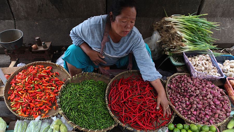 Harga cabai rawit merah turun menjadi Rp80.000 per kilogram dan cabai keriting Rp70.000 per kilogram.  (Bloomberg Technoz/ Andrean Kristianto)