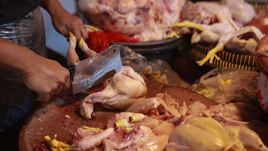 Saat ini harga ayam potong ras ukuran kecil dijual seharga Ro40.000. (Bloomberg Technoz/ Andrean Kristianto)