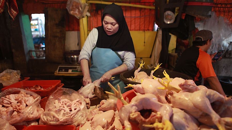 Menurut pedagang harga ayam potong ras ukuran kecil dijual seharga Rp33.000 namun kini harganya kian naik. (Bloomberg Technoz/ Andrean Kristianto)