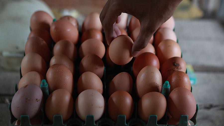 Komoditas lainnya yang mengalami kenaikan yaitu telur ayam ras yang dijual seharga Rp31.000 ditingkat pedagang.(Bloomberg Technoz/ Andrean Kristianto)