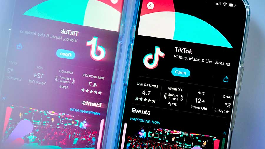 Tampilan halaman aplikasi TikTok di Apple App Store (Bloomberg)