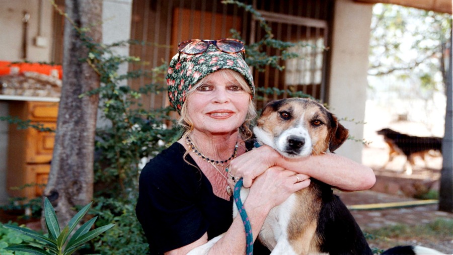Brigitte Bardot mengunjungi tempat penampungan anjing miliknya, “The Nice Dogs”, di Carnoules, Prancis, pada 2001. (Charly Hel/Prestige/Getty Images)
