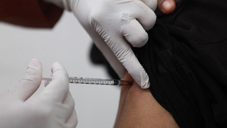 Hingga akhir Desember 2025, tercatat sebanyak 62 kasus yang tersebar di delapan provinsi. (Bloomberg Technoz/Andrean Kristianto)