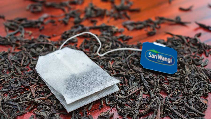 Ilustrasi Teh Sariwangi (Diolah)