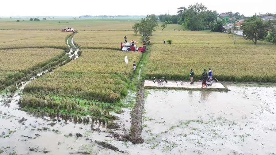 Panen Raya dan Pengumuman Swasembada Pangan, Karawang, 7 Januari 2026 (Tangkapan layar YouTube Sekretariat Presiden)