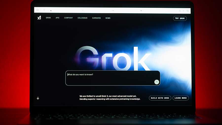 Chatbot Grok (Andrey Rudakov/Bloomberg)