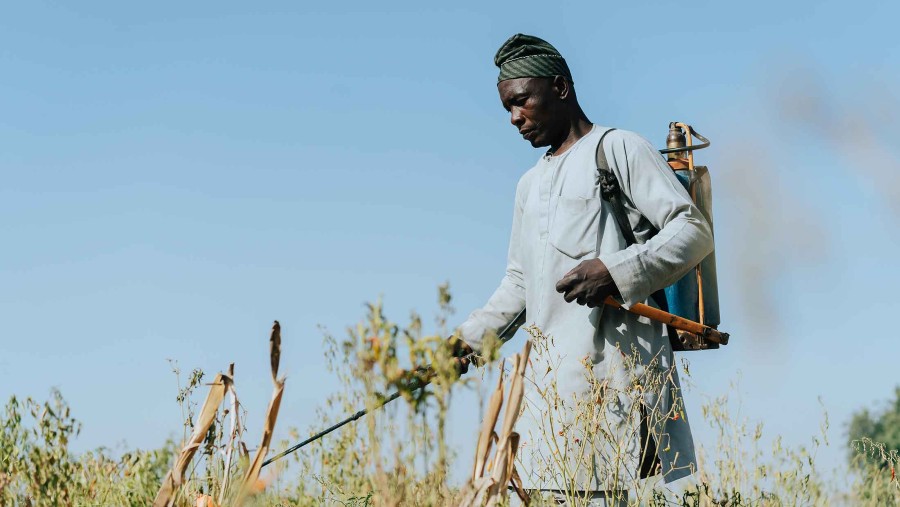 Abdullahi Yusuf menyemprot tanamannya dengan pestisida. Fotografer: Moha Sheikh untuk Bloomberg Businessweek
