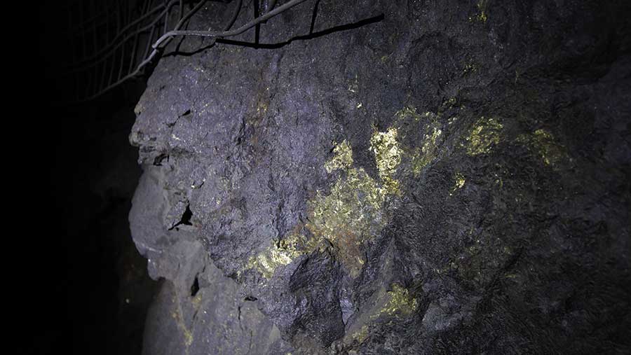 Ilustrasi tambang nikel (Bloomberg)