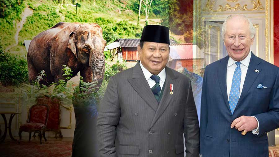Prabowo dan Raja Charles Bertemu, Diplomasi Lingkungan Lewat Konservasi Gajah. (Diolah dari Berbagai Sumber)