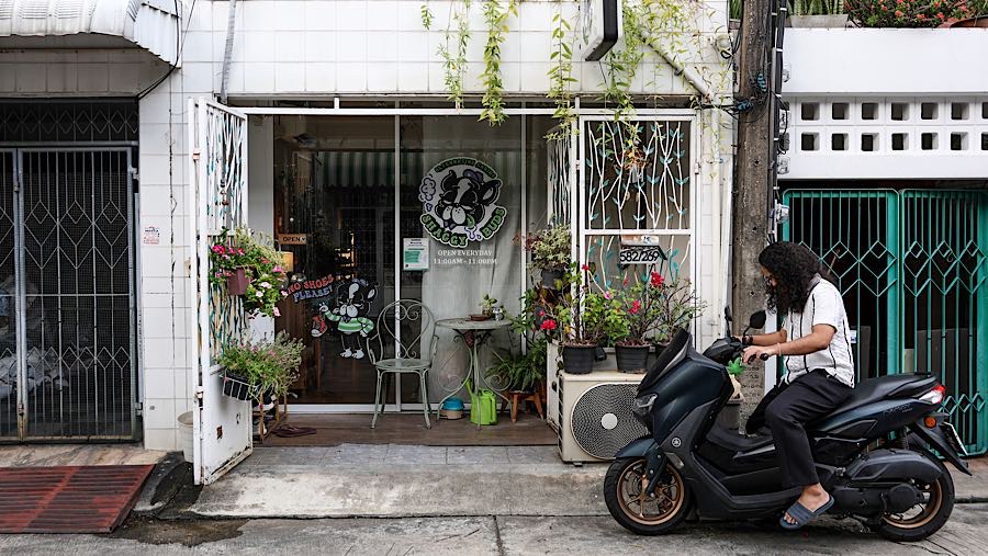 Toko ganja Shaggy Buds di Bangkok, Thailand, Minggu (18/1/2026). (Valeria Mongelli/Bloomberg)
