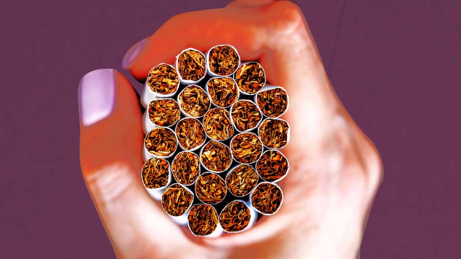 Daftar Golongan Tarif Cukai Rokok Saat Purbaya Mau Tambah Layer (Bloomberg Technoz/Asfahan)