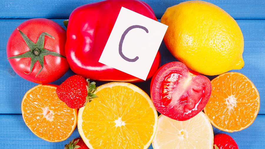 Ilustrasi vitamin C (Envato)