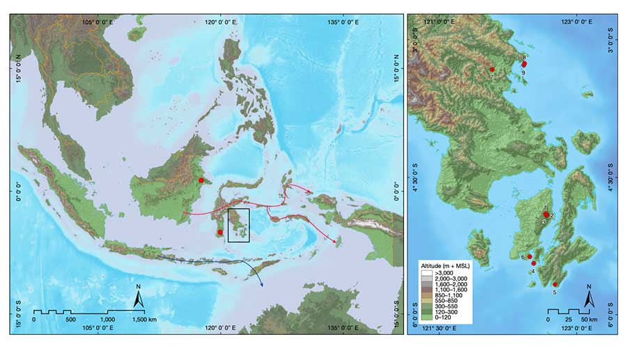 Lukisan Purbakala di Sulawesi (Dok. Nature.com)