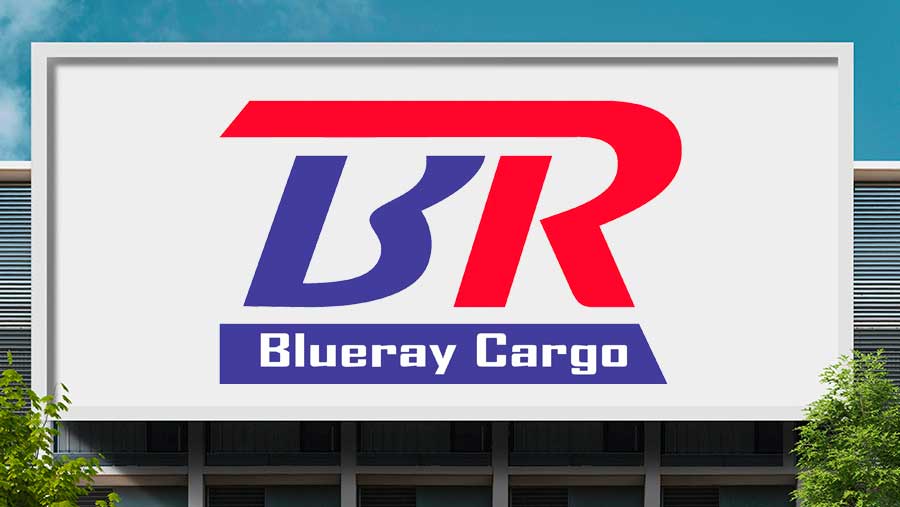 Ilustrasi PT Blueray Cargo (Diolah)