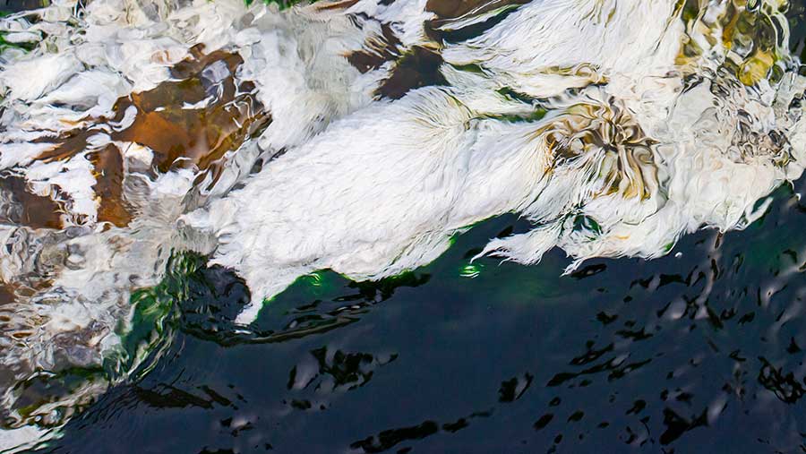 Ilustrasi limbah di sungai (Envato)