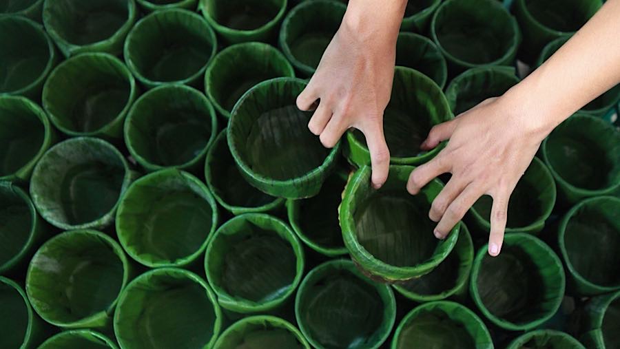 Makanan manis yang dibungkus dengan daun pisang ini selalu laris diburu saat menjelang perayaan tahun baru China. (Bloomberg Technoz/Andrean)