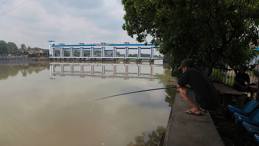 Larangan ini disampaikan karena adanya potensi bahaya dari ikan yang mati secara mendadak. (Bloomberg Technoz/Andrean Kristianto)