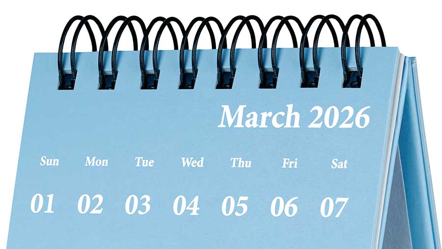 Ilustrasi Kalender Maret 2026 (Envato)