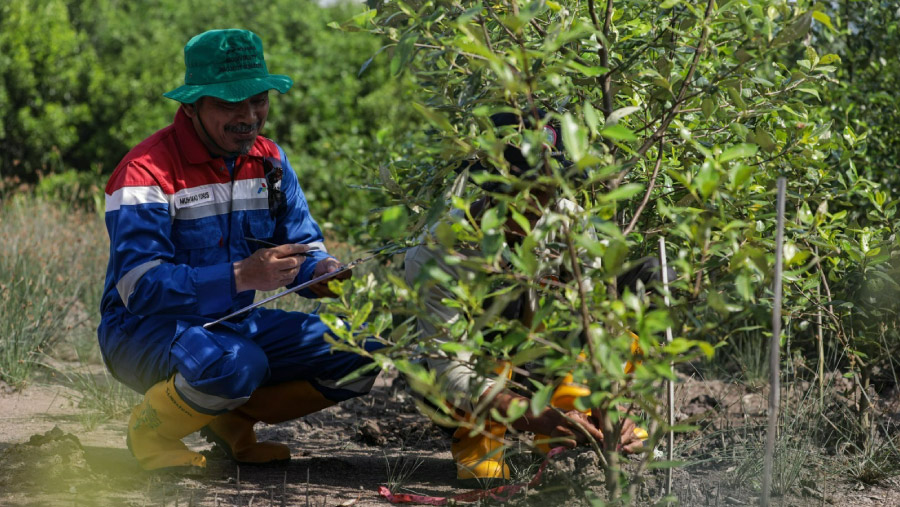 (Dok. Pertamina Patra Niaga)