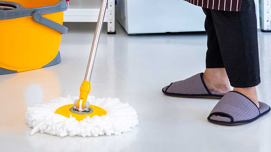 Ilustrasi Asisten Rumah Tangga (Envato)