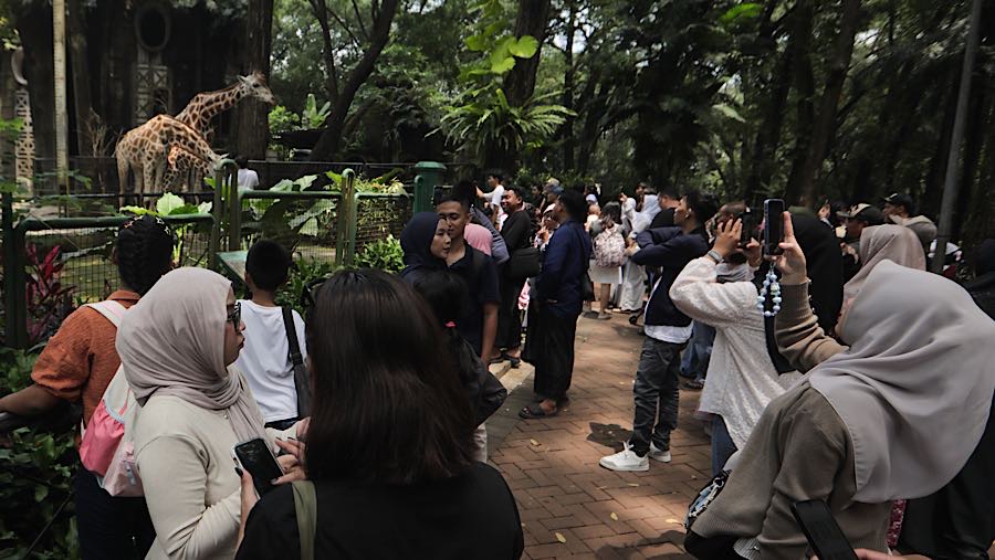 Sebagian besar pengunjung datang bersama keluarga untuk menikmati liburan Lebaran di kebun binatang yang sudah menjadi favorit banyak orang ini. 