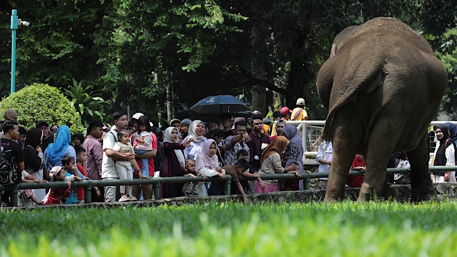 Kepadatan pengunjung terlihat di beberapa area, terutama di kandang Jerapah, Gajah, dan di area teduh tempat pengunjung menggelar tikar.