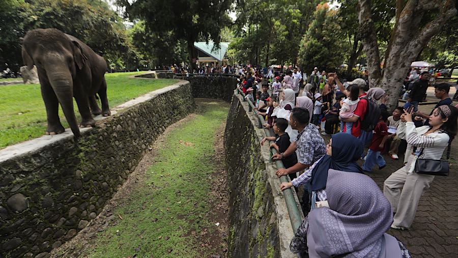 Pengunjung melihat gajah ketika berwisata di Taman Margasatwa Ragunan, Jakarta, Minggu (22/3/2026). (Bloomberg Technoz/Andrean Kristianto)