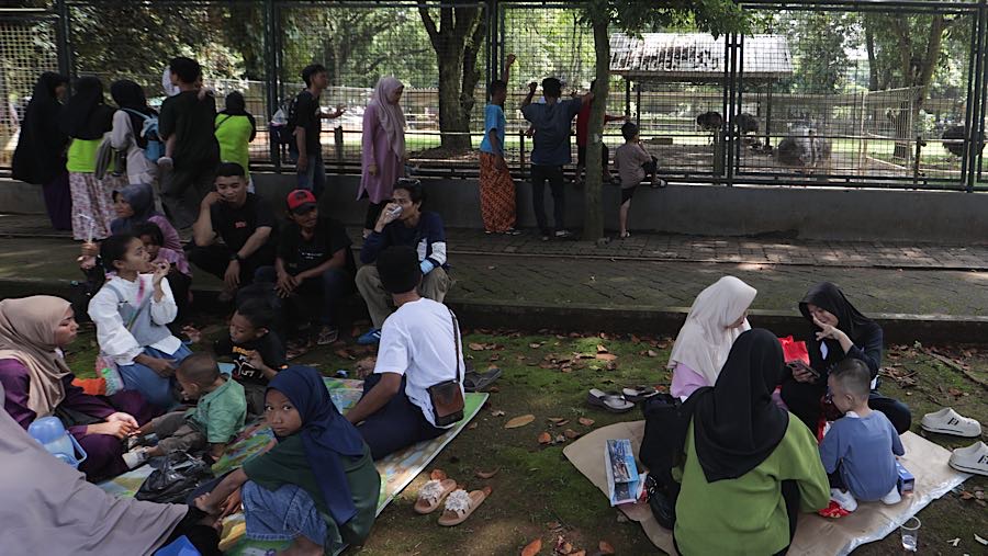 Salah satunya adalah Taman Margasatwa Ragunan, yang sudah dipenuhi pengunjung sejak pagi. (Bloomberg Technoz/Andrean Kristianto)