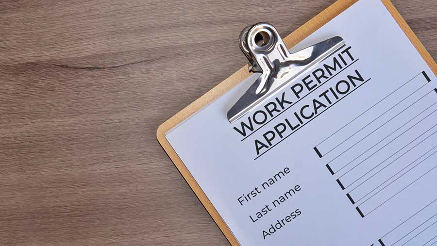 Ilustrasi Surat Izin Kerja (Envato)