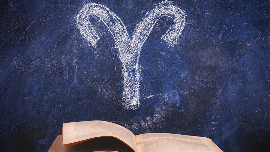 Ilustrasi Zodiak Aries (envato)