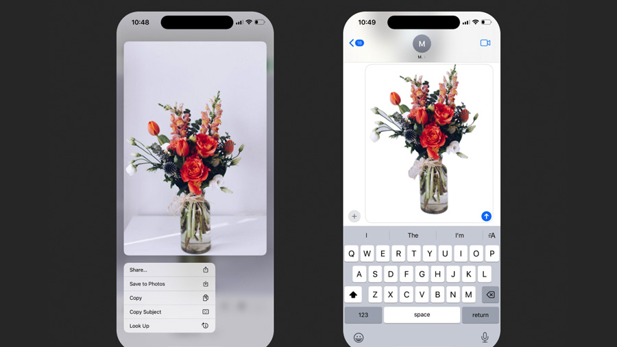Menghilangkan Background Foto Cuma dari HP (Sumber: Photoroom.com)